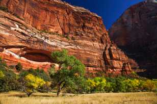 Zion Fall color-4409.jpg Zion Fall color-4409.jpg